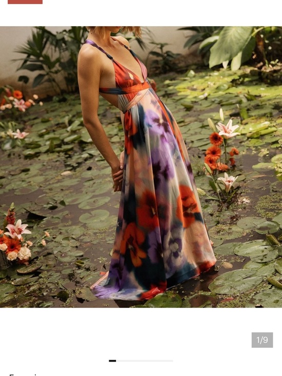Especia Dresses & Skirts - Especia Alejandra maxi floral maxi dress